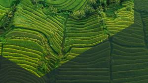 Vista aérea de uma paisagem com várias camadas e linhas
